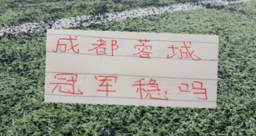 半岛体育平台-半程下来！北京国安距离领头羊22分 申花是24分 卫冕冠军是25 分|上海申花|成都|保级|上海海港|蓉城_新浪体育_新浪新闻